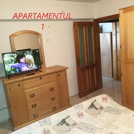 Apartament Cu 2 Camere,Ultracentral In Arad Exterior foto
