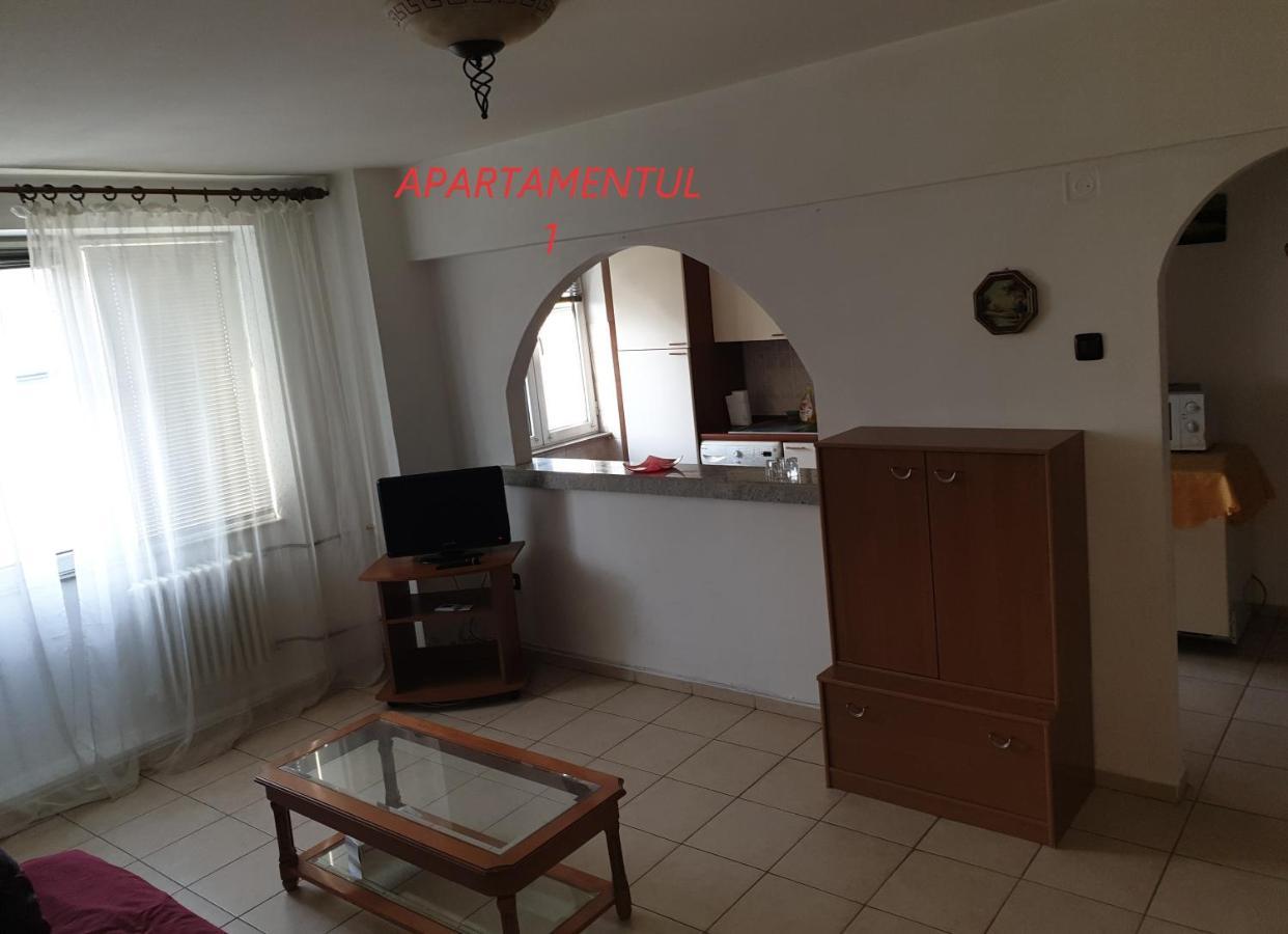 Apartament Cu 2 Camere,Ultracentral In Arad Exterior foto