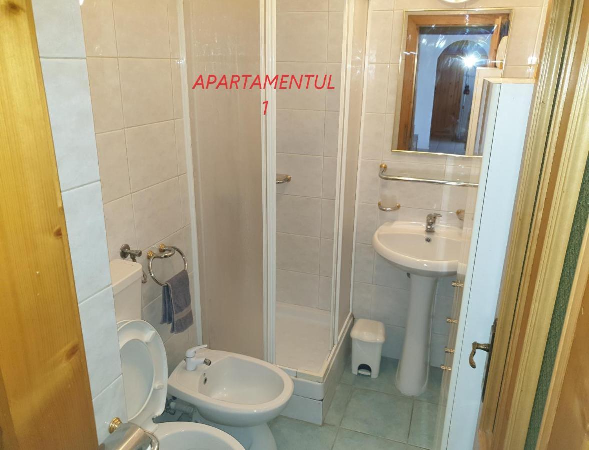 Apartament Cu 2 Camere,Ultracentral In Arad Exterior foto