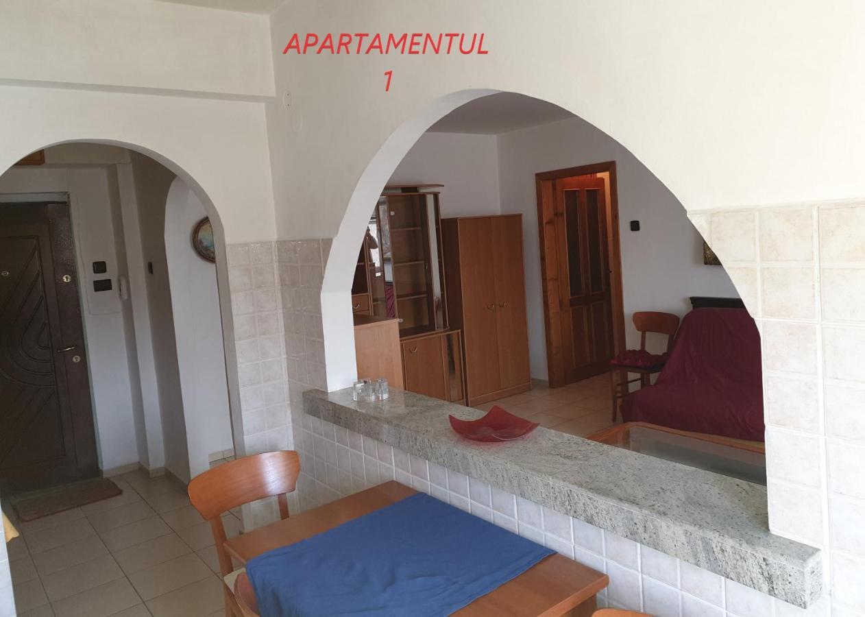 Apartament Cu 2 Camere,Ultracentral In Arad Exterior foto
