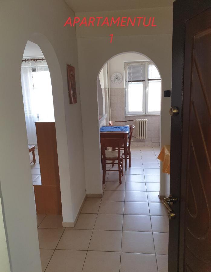 Apartament Cu 2 Camere,Ultracentral In Arad Exterior foto